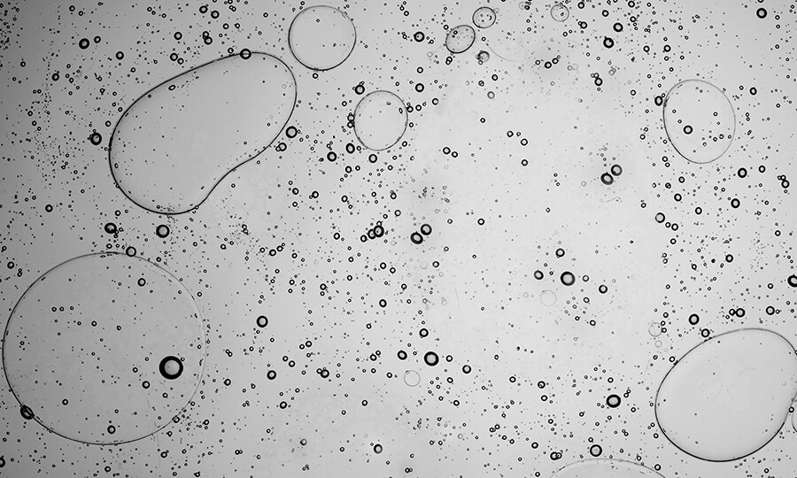 bacteria as bubbles